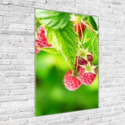 Tableau imprimé sur verre Framboises sur le buisson