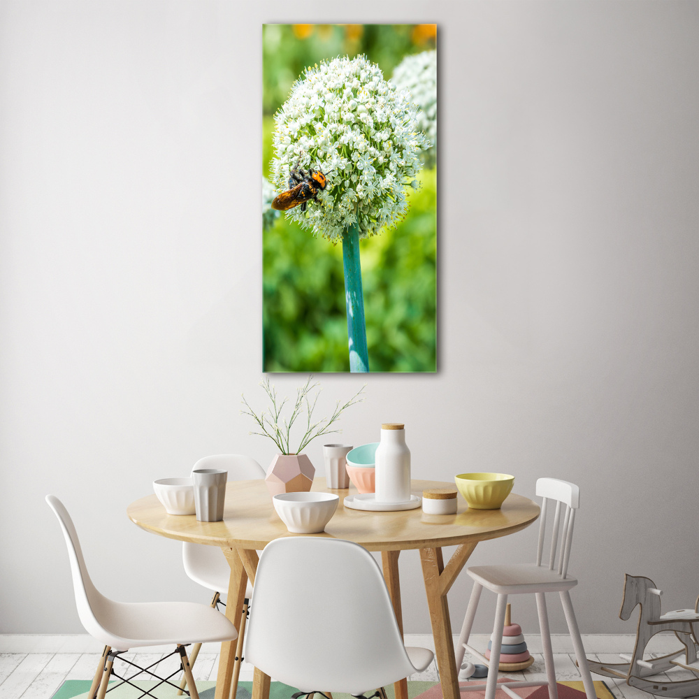 Tableau imprimé sur verre Fleurs d'ail