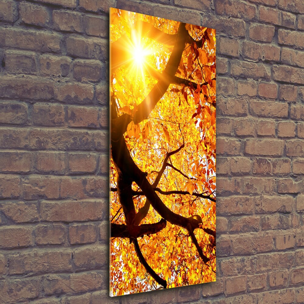 Tableau photo sur verre Arbre d'automne