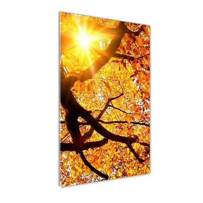 Tableau photo sur verre Arbre d'automne