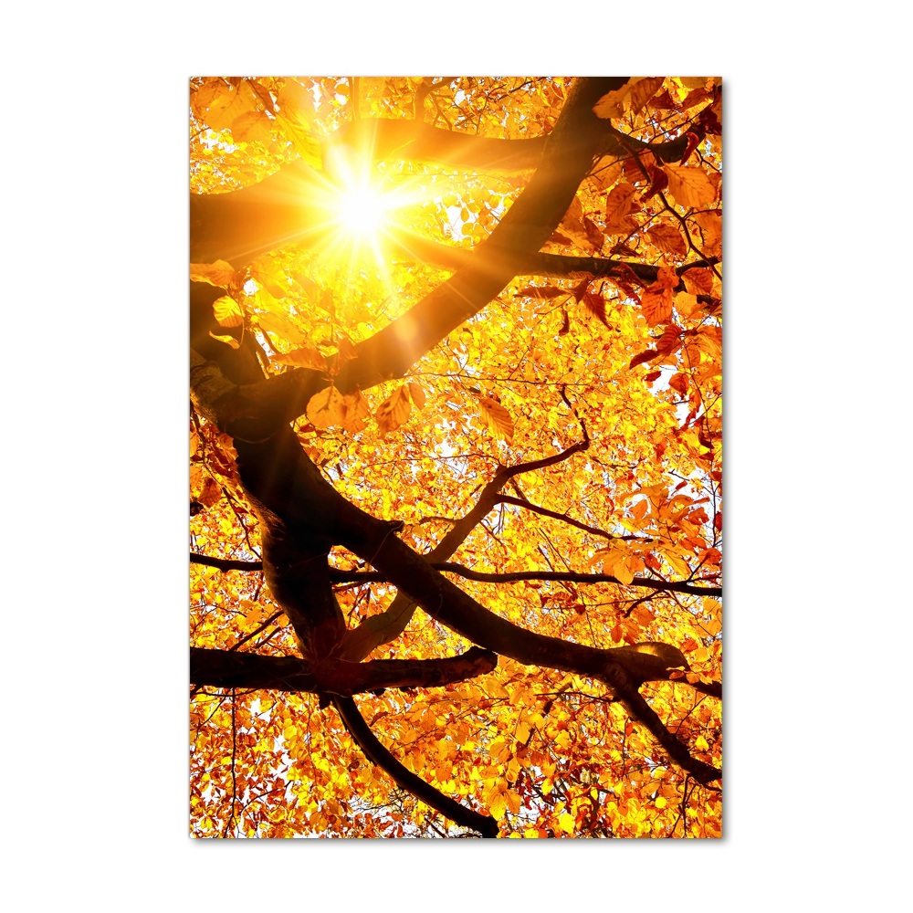 Tableau photo sur verre Arbre d'automne