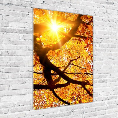 Tableau photo sur verre Arbre d'automne