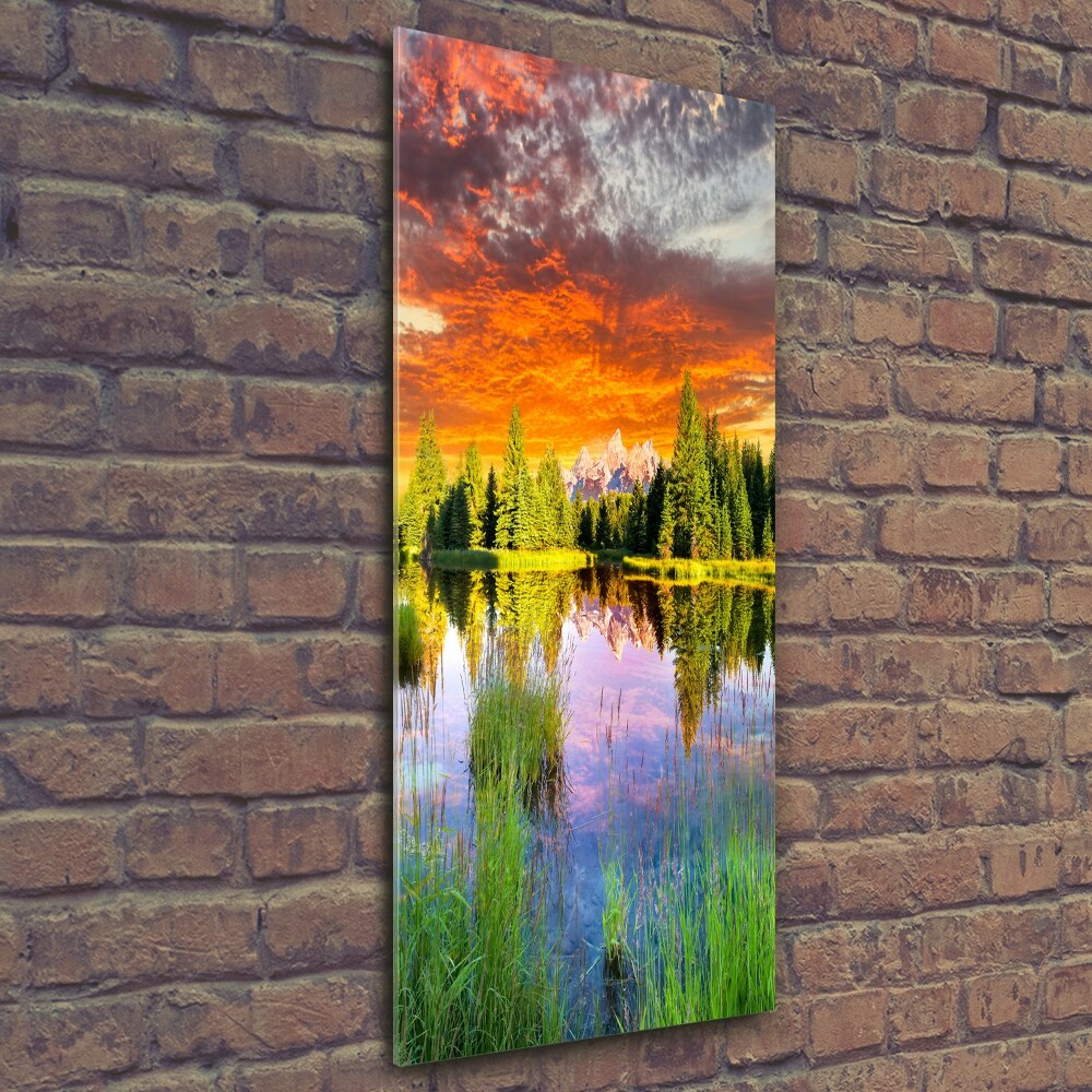 Tableau verre imprimé Lac dans la forêt