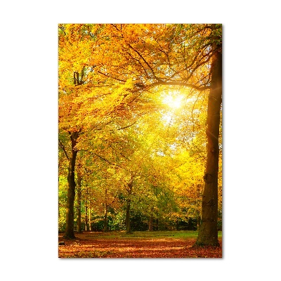 Tableau sur verre Forêt en automne