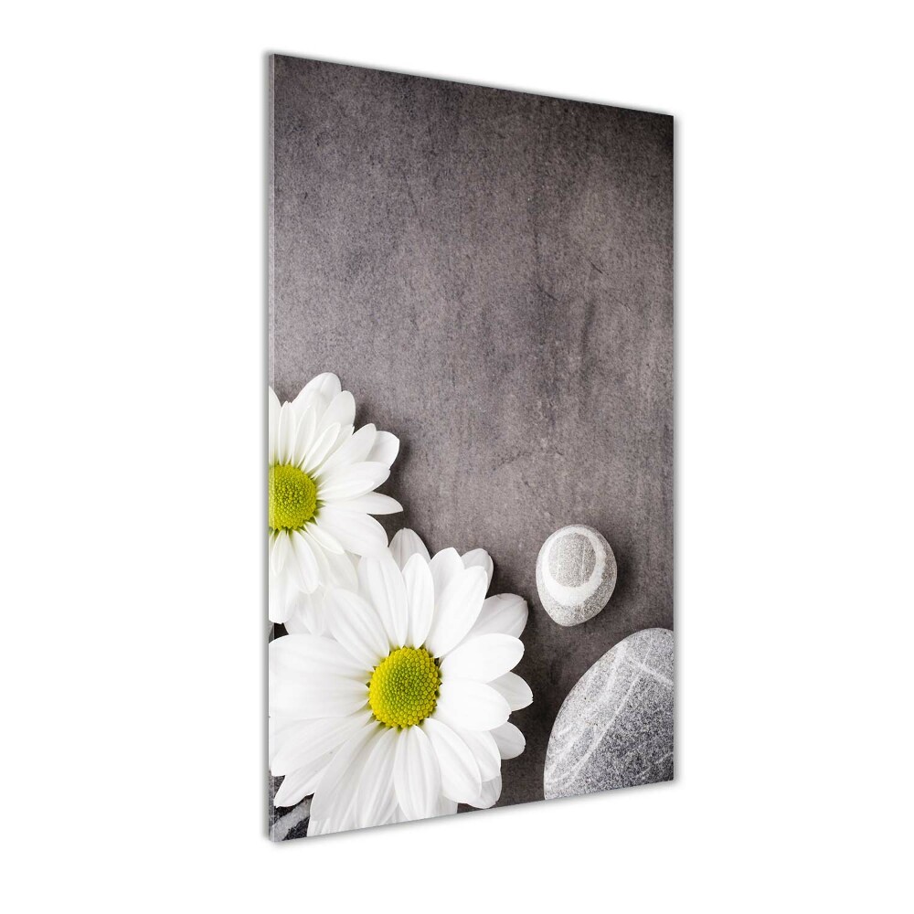 Tableau photo sur verre Gerbera