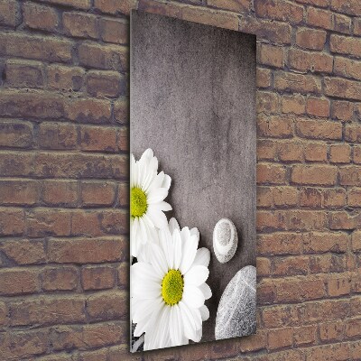 Tableau photo sur verre Gerbera