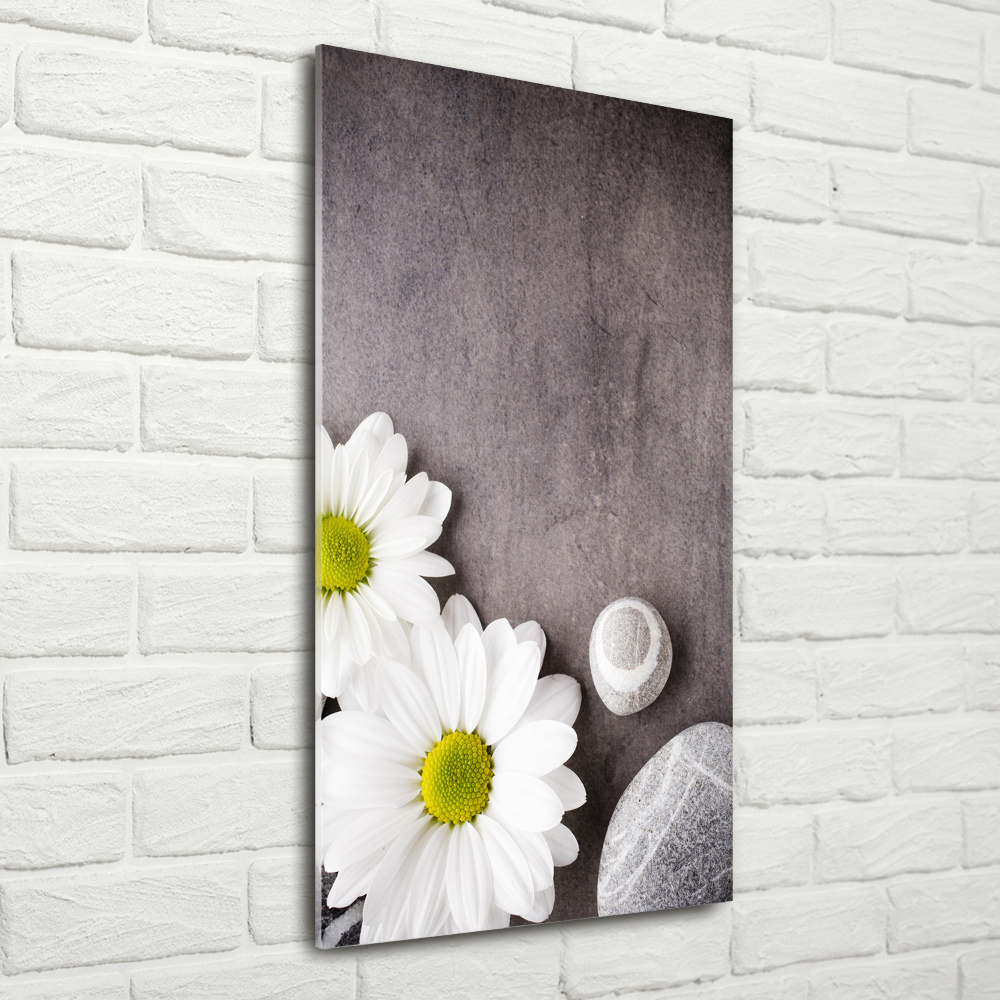 Tableau photo sur verre Gerbera