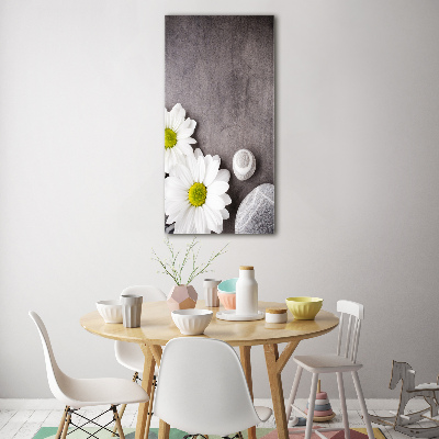 Tableau photo sur verre Gerbera