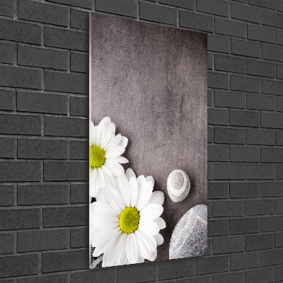 Tableau photo sur verre Gerbera