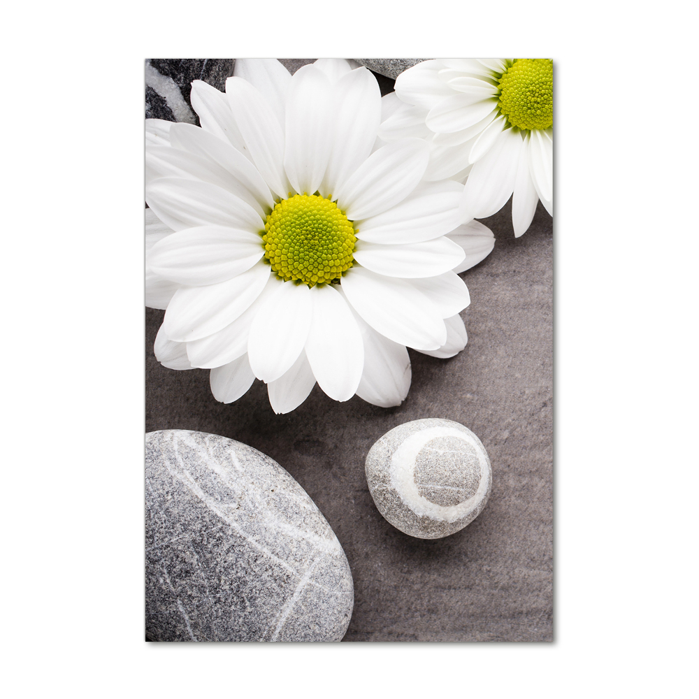 Tableau photo sur verre Gerbera