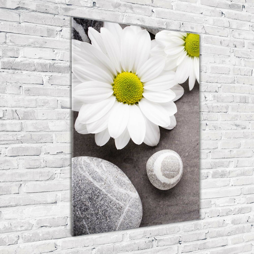 Tableau photo sur verre Gerbera