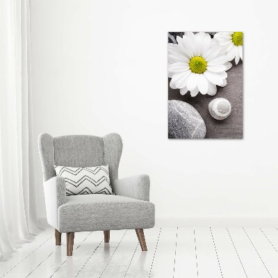 Tableau photo sur verre Gerbera