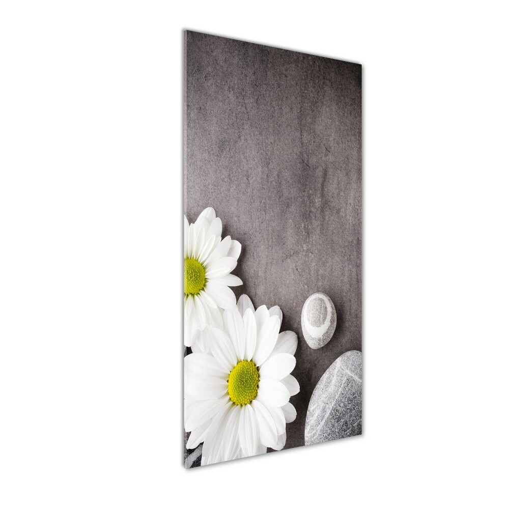 Tableau photo sur verre Gerbera