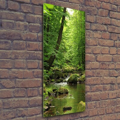 Tableau en verre Rivière dans la forêt