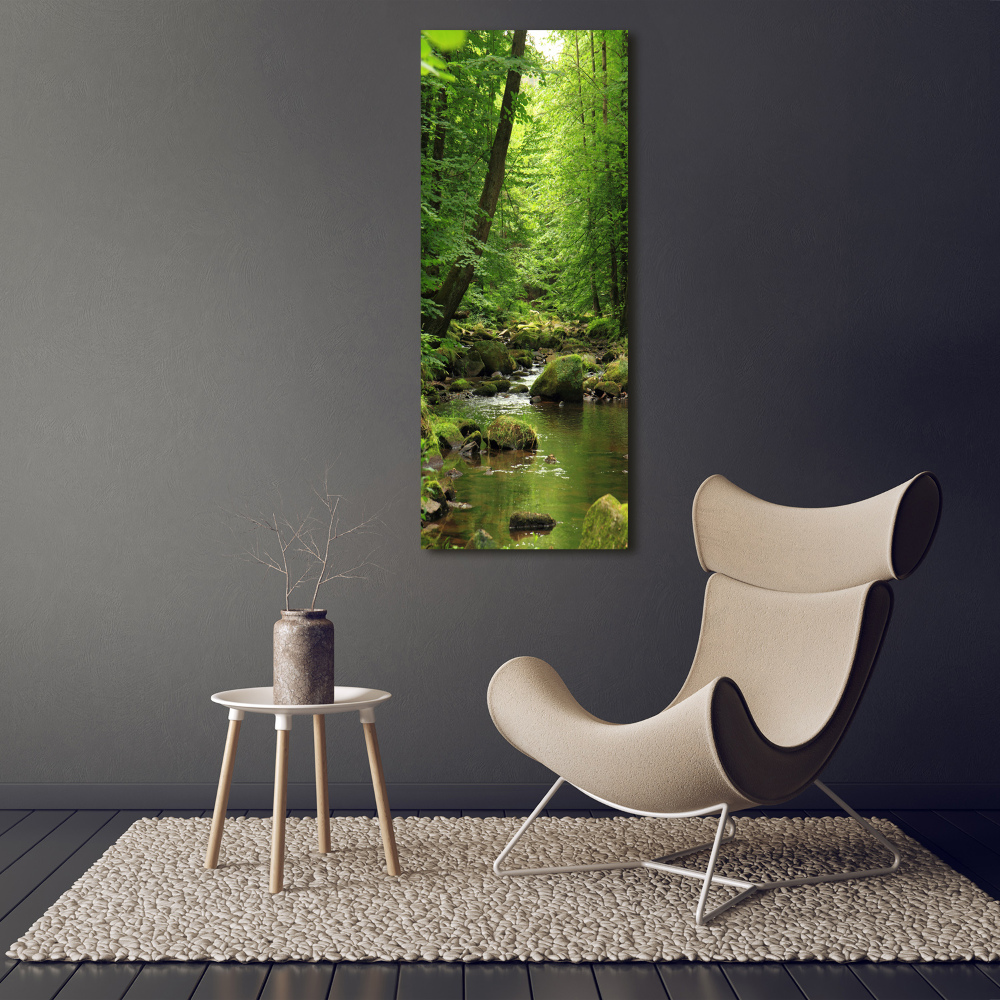 Tableau en verre Rivière dans la forêt