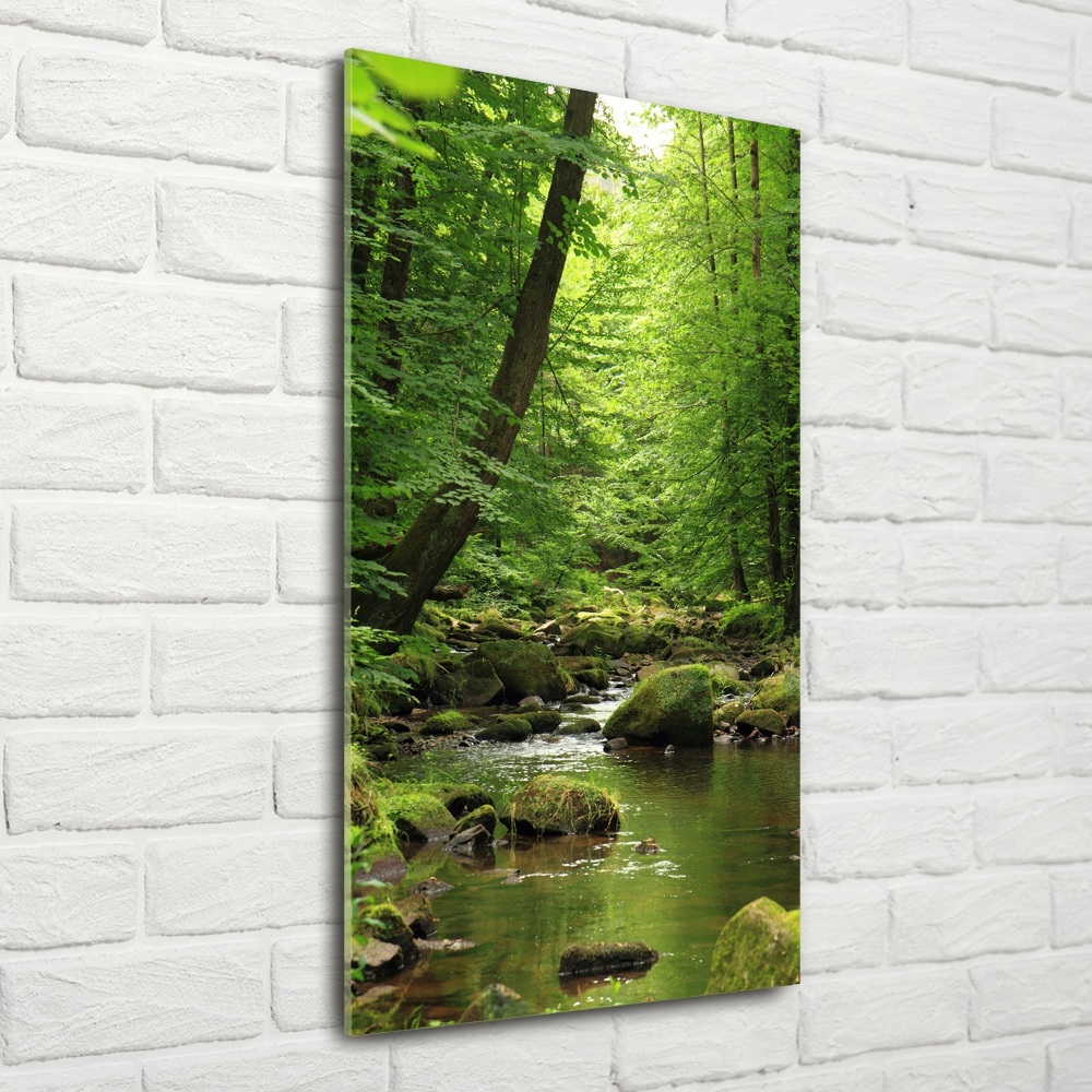 Tableau en verre Rivière dans la forêt