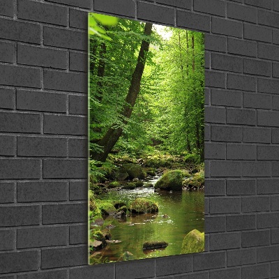 Tableau en verre Rivière dans la forêt