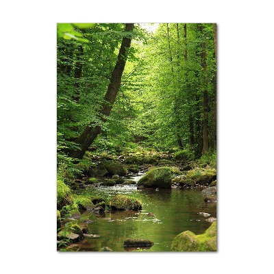 Tableau en verre Rivière dans la forêt