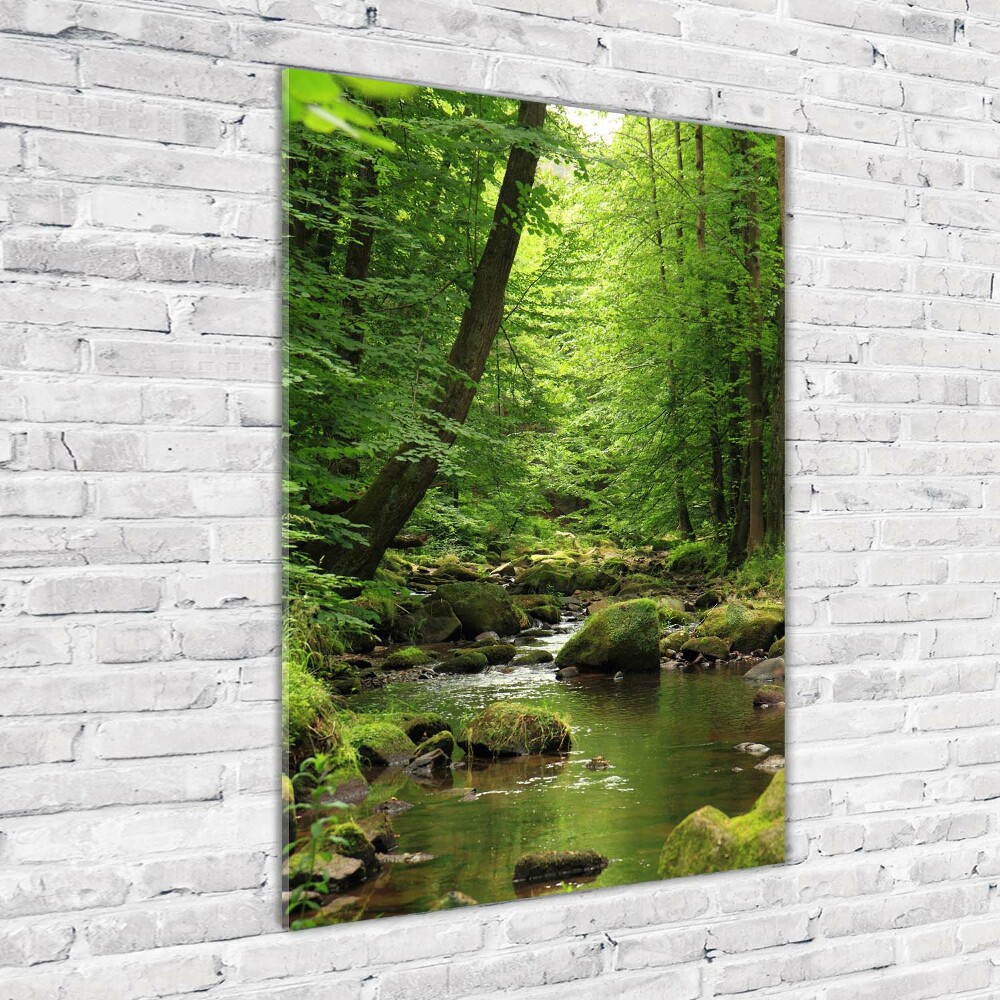 Tableau en verre Rivière dans la forêt