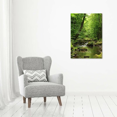 Tableau en verre Rivière dans la forêt