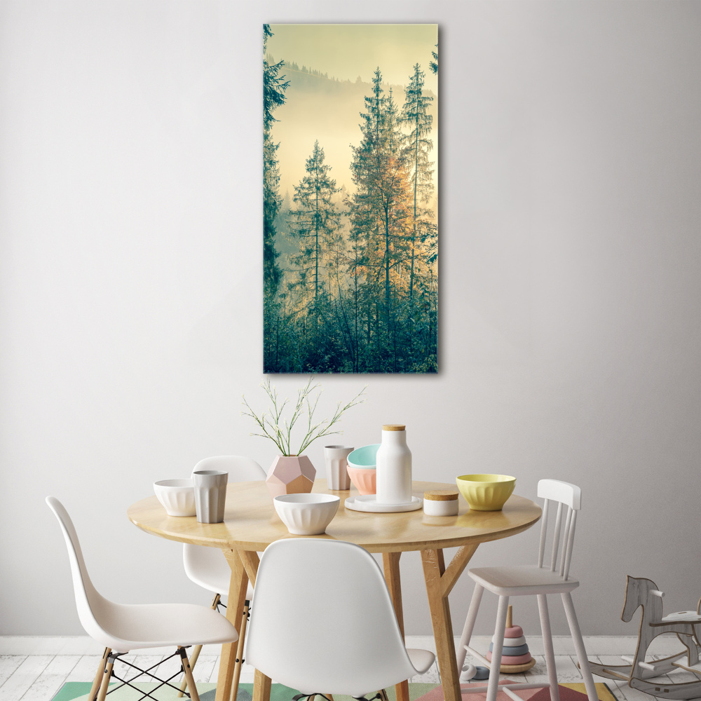 Tableau en verre Brume sur la forêt