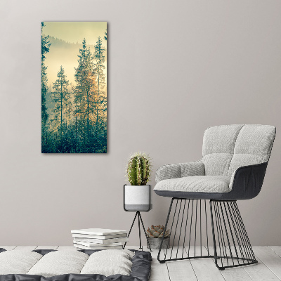 Tableau en verre Brume sur la forêt