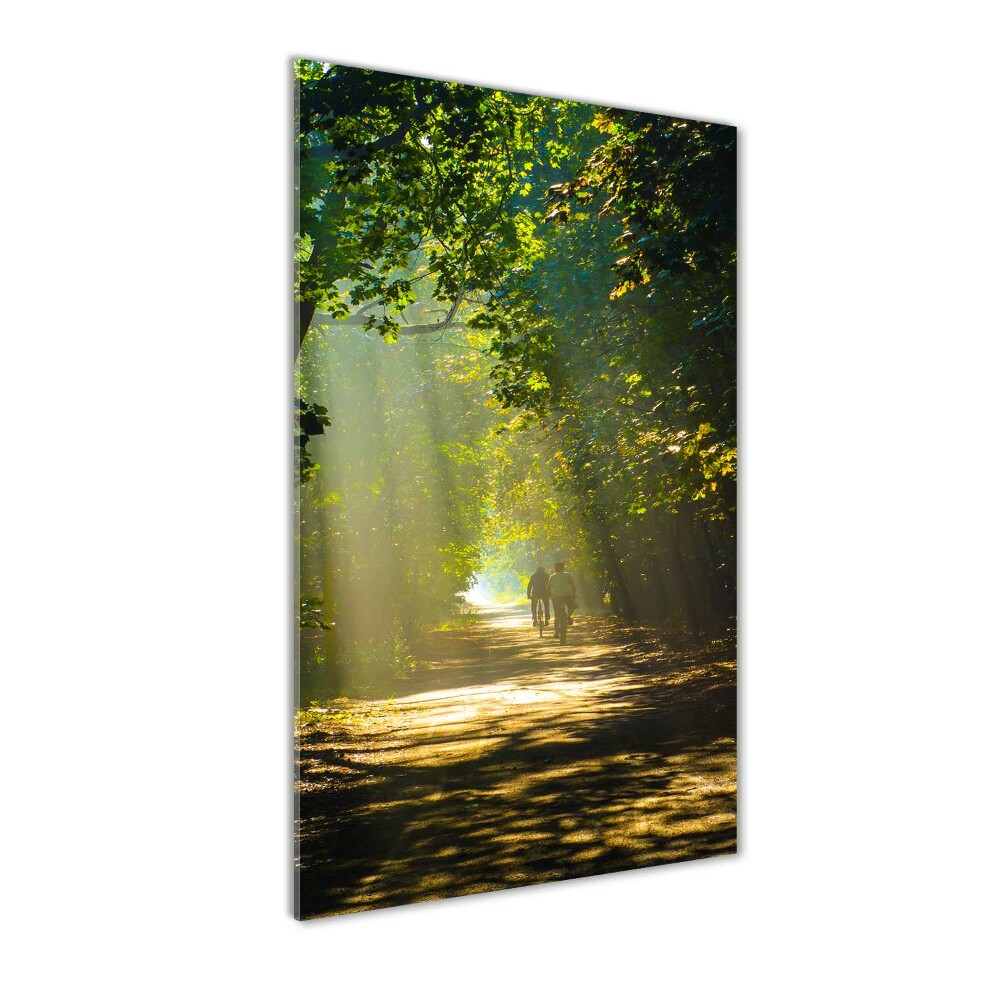 Tableau sur verre Un chemin dans la forêt