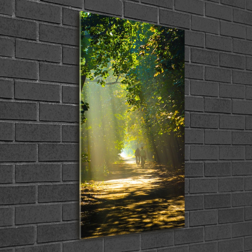 Tableau sur verre Un chemin dans la forêt