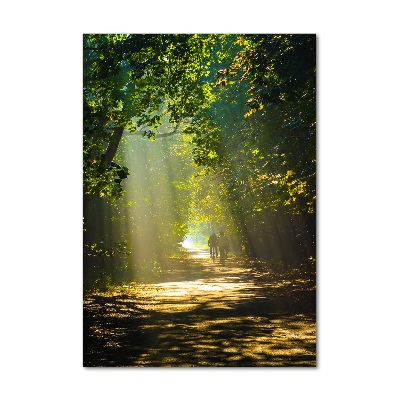 Tableau sur verre Un chemin dans la forêt