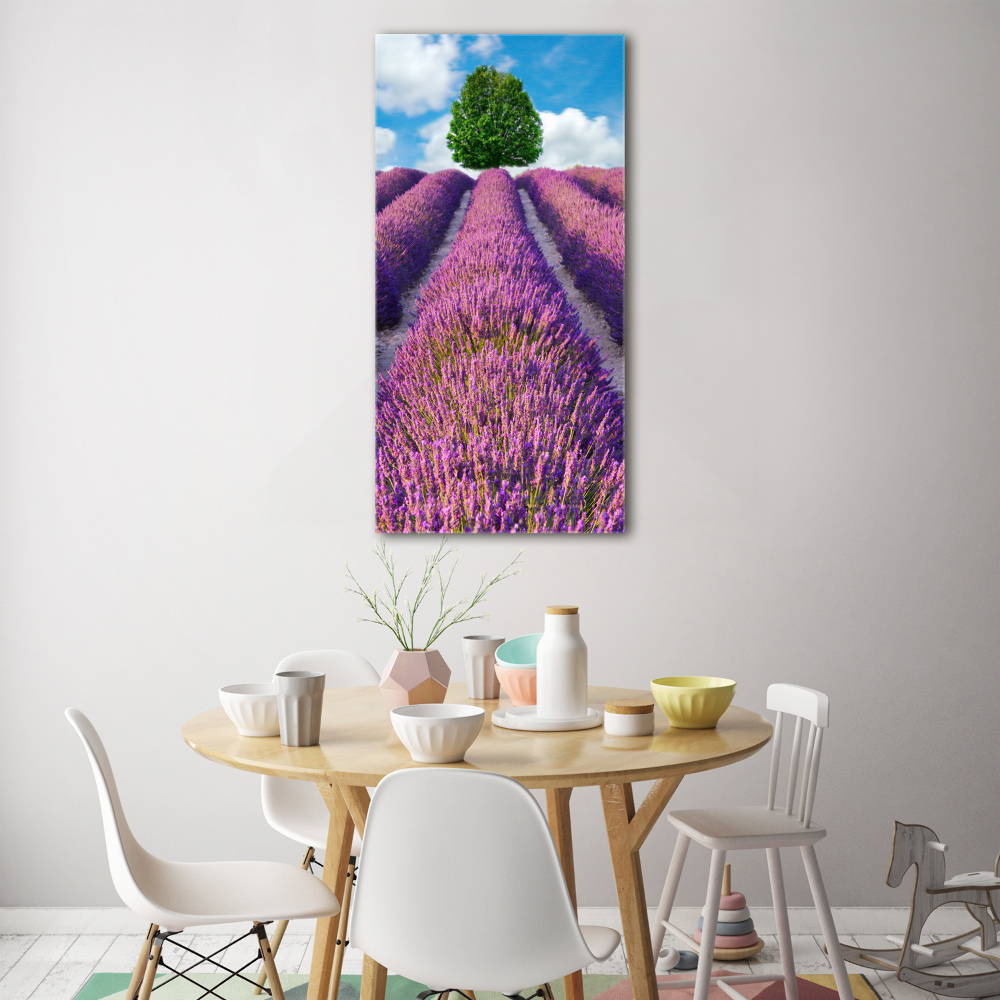 Tableau photo sur verre Champ de lavande violette