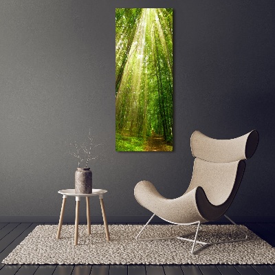 Tableau imprimé sur verre Chemin dans la forêt