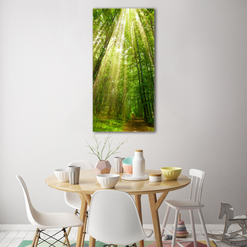 Tableau imprimé sur verre Chemin dans la forêt