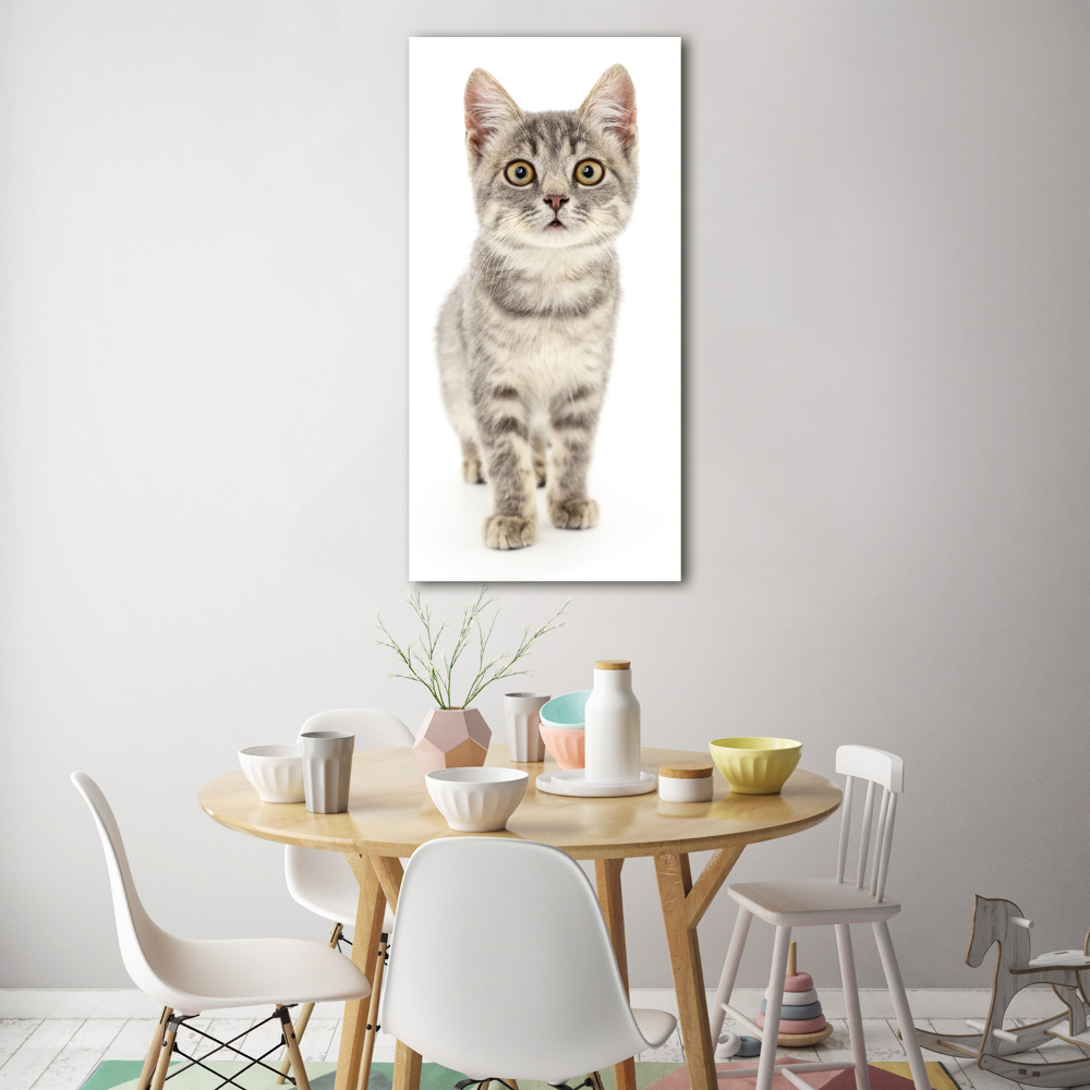 Tableau verre imprimé Chat gris