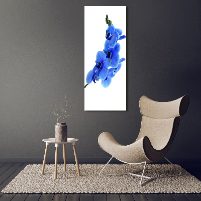 Tableau photo sur verre Orchidée bleue