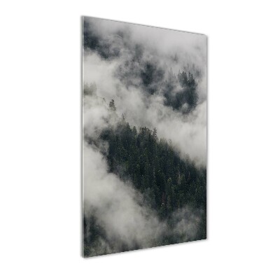 Tableau photo sur verre Nuage au-dessus de la forêt