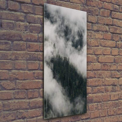 Tableau photo sur verre Nuage au-dessus de la forêt