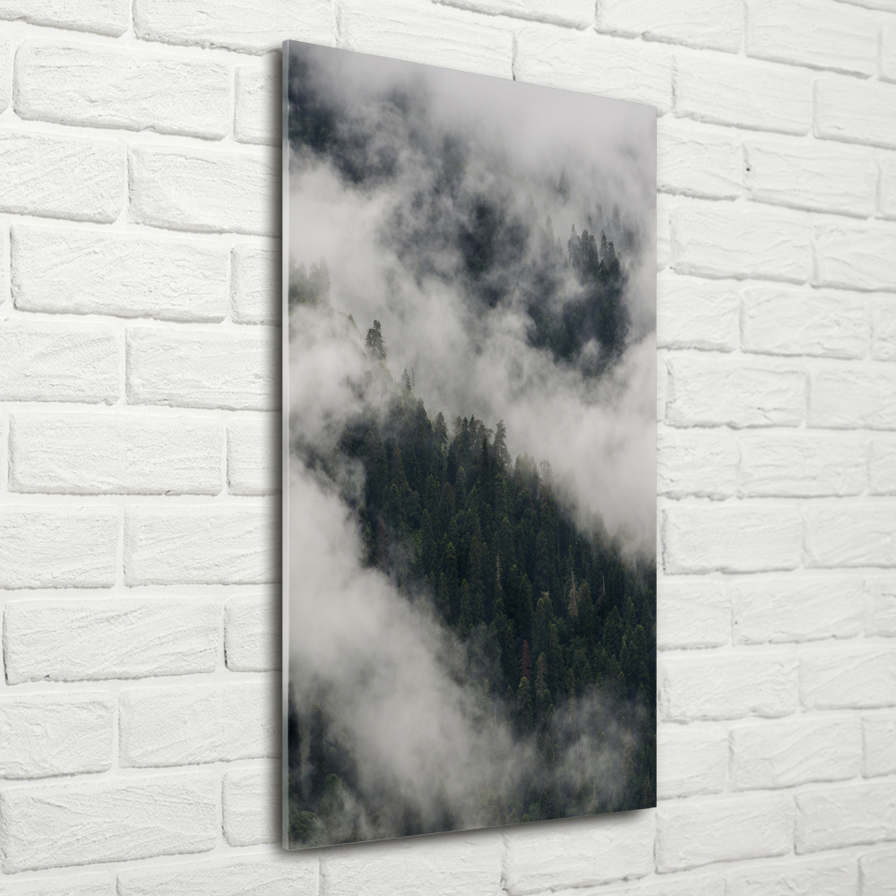 Tableau photo sur verre Nuage au-dessus de la forêt