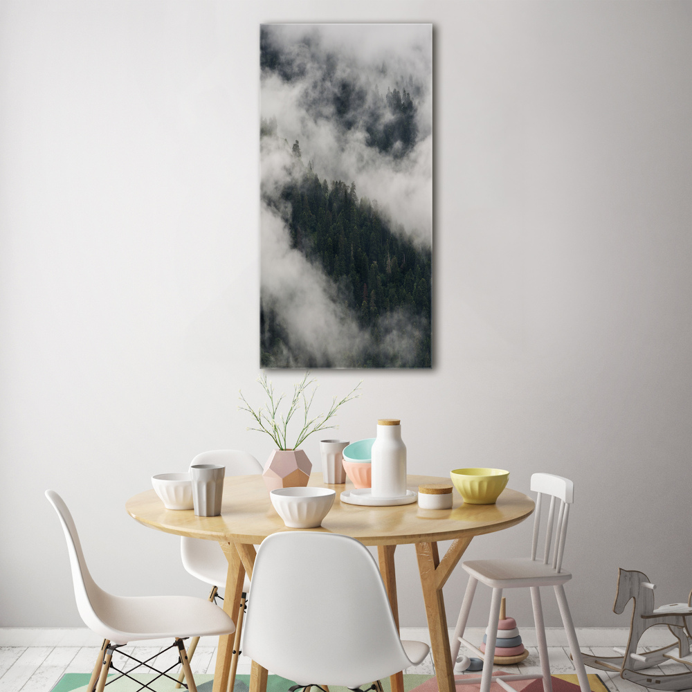 Tableau photo sur verre Nuage au-dessus de la forêt