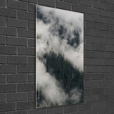 Tableau photo sur verre Nuage au-dessus de la forêt