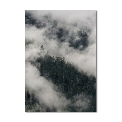 Tableau photo sur verre Nuage au-dessus de la forêt