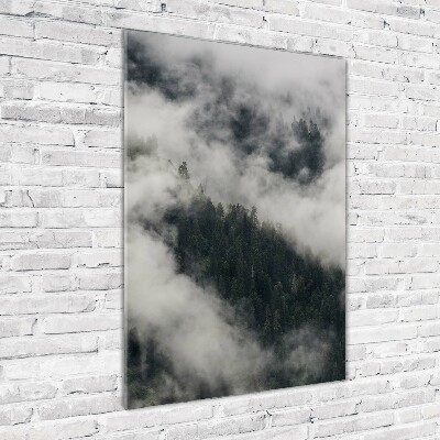 Tableau photo sur verre Nuage au-dessus de la forêt