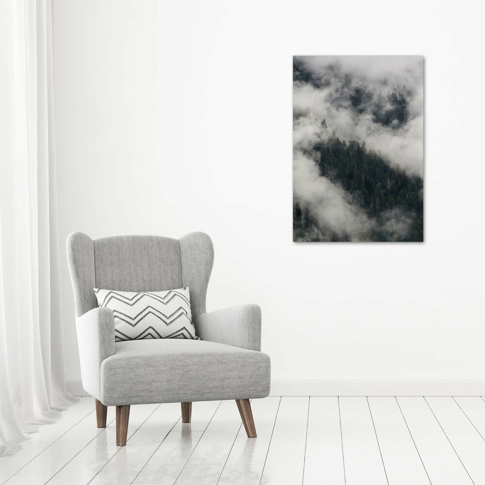 Tableau photo sur verre Nuage au-dessus de la forêt