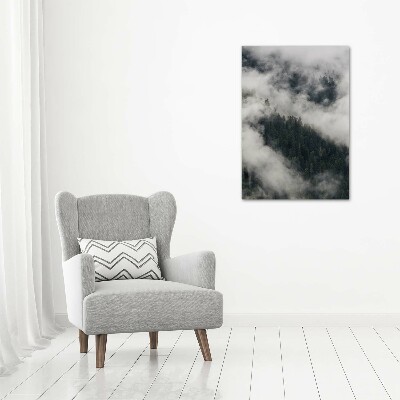 Tableau photo sur verre Nuage au-dessus de la forêt