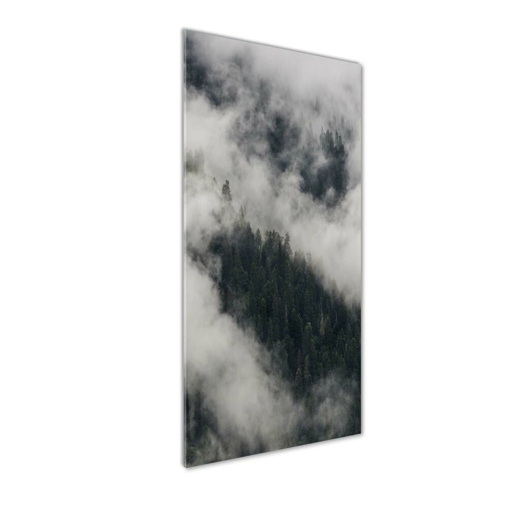 Tableau photo sur verre Nuage au-dessus de la forêt