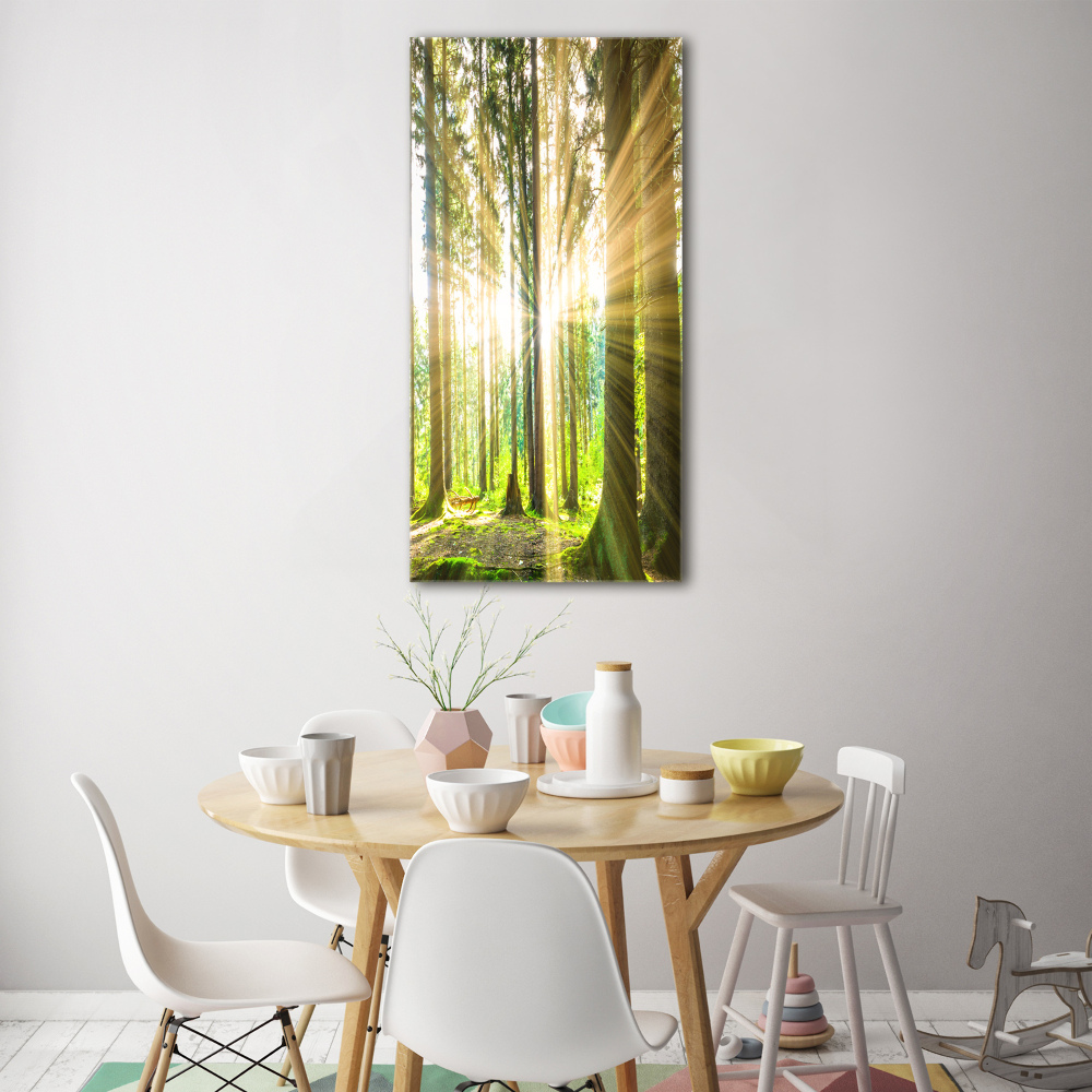 Tableau imprimé sur verre Soleil dans la forêt