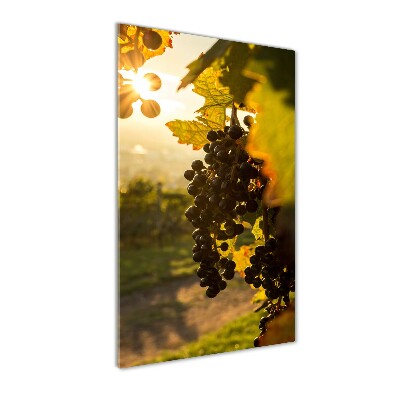 Tableau sur verre Vignoble