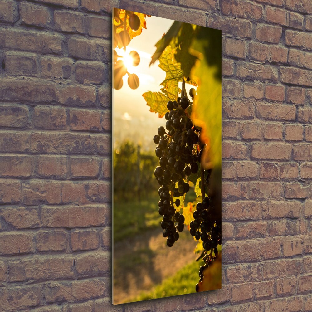 Tableau sur verre Vignoble