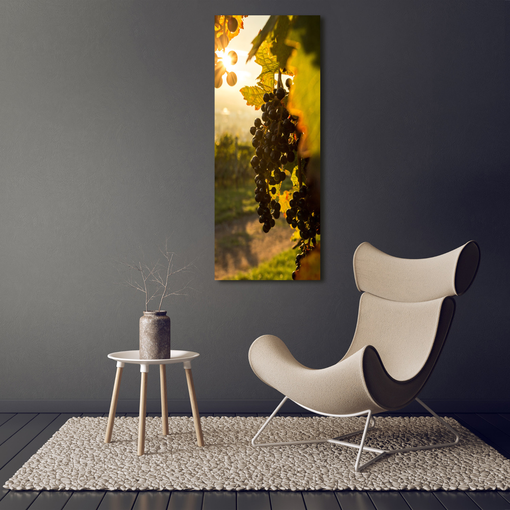 Tableau sur verre Vignoble