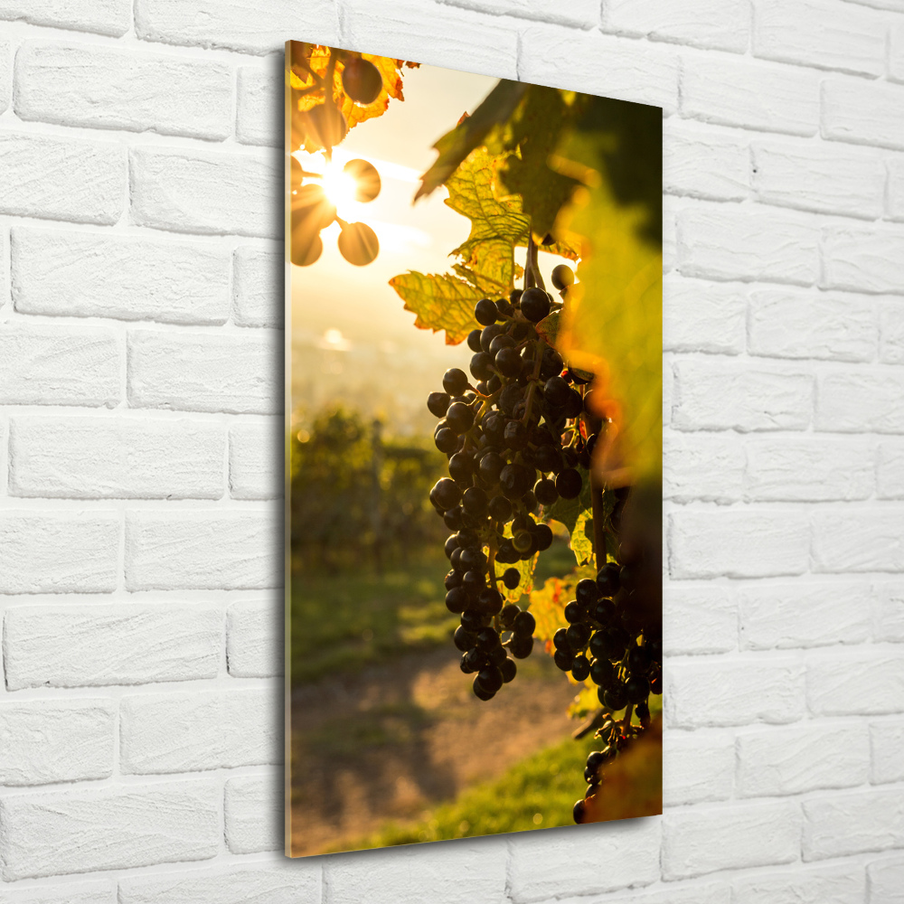 Tableau sur verre Vignoble