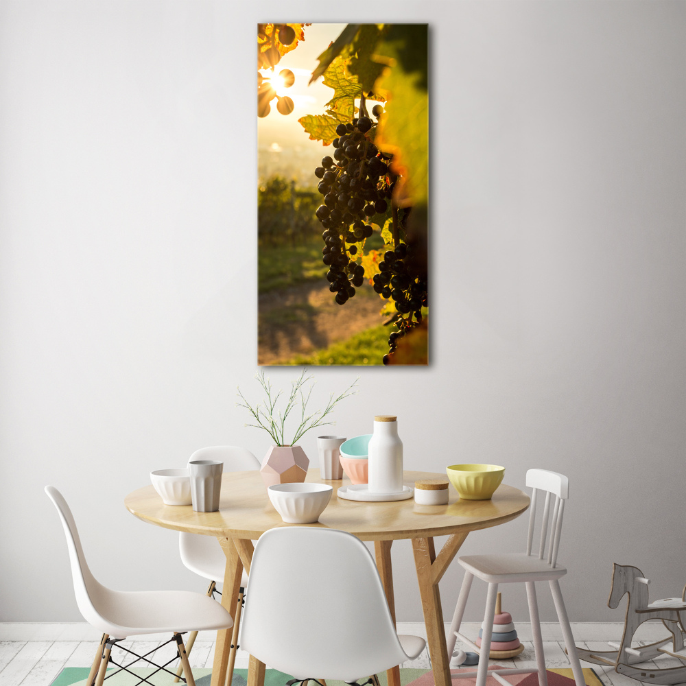 Tableau sur verre Vignoble